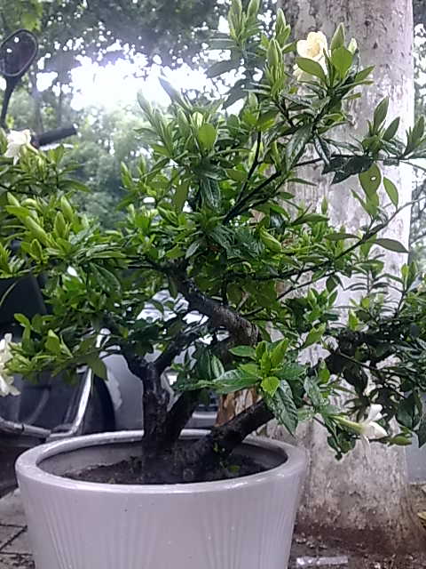 201306012536.jpg
