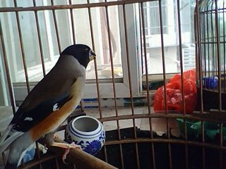 IMG0005A.jpg