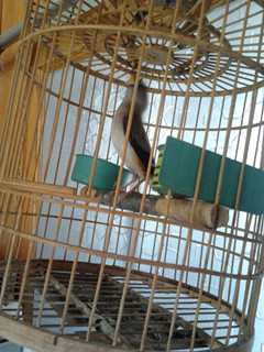 2013-06-23 14.58.23_副本.jpg