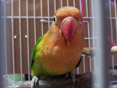 20130606_205743.jpg