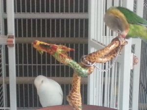 20130629_152236.jpg