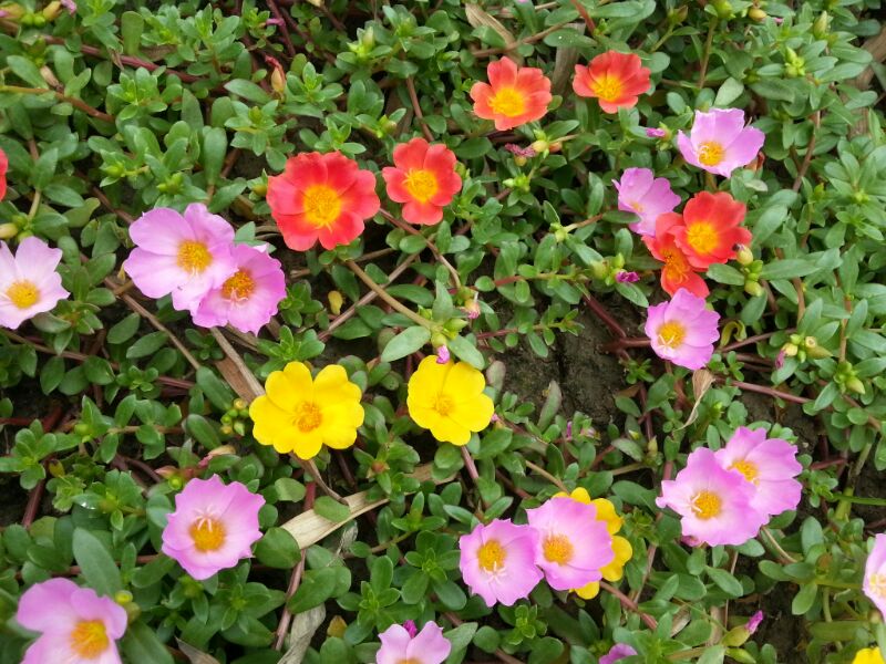 UC_Photo_406.jpg