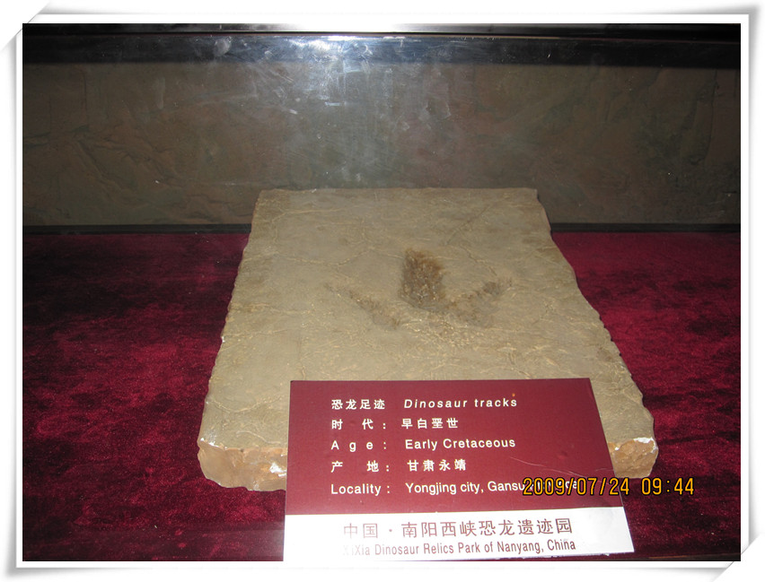 照片 080_副本.jpg