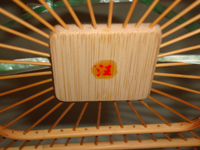 DSC08281.JPG