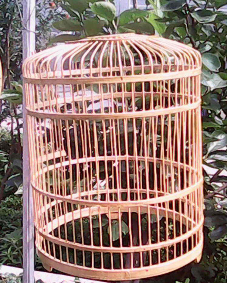 06.jpg