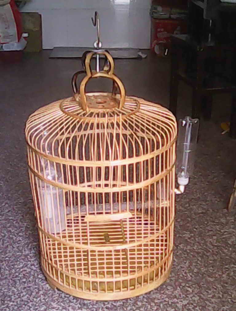 08.jpg