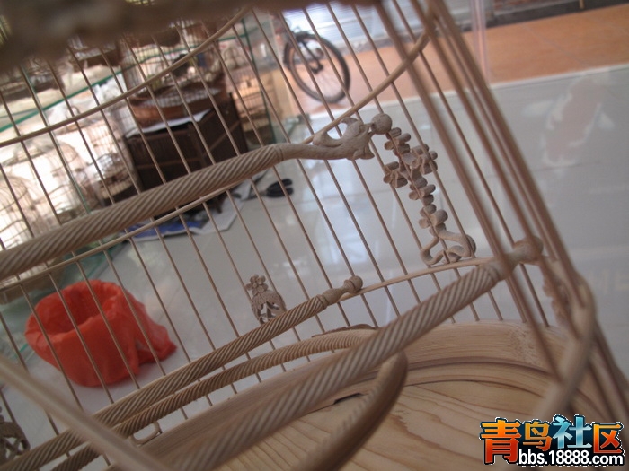 照片 247_调整大小.jpg