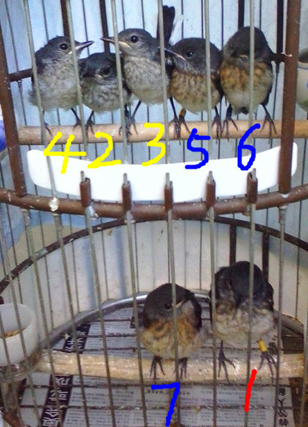IMG_20130605_152152399_副本_副本.jpg