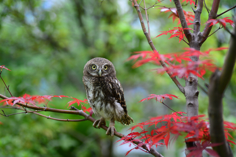 DSC_7713.JPG