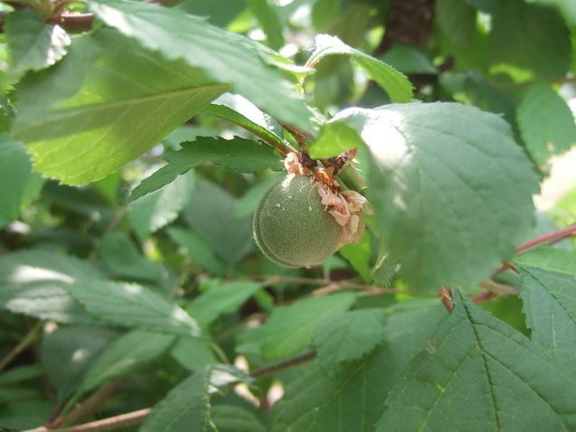 DSCF4895_调整大小.JPG
