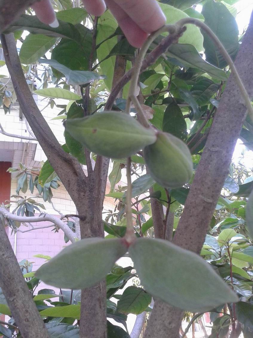 20130612_155449.jpg
