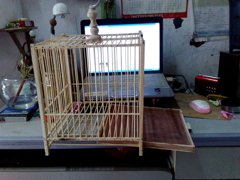 201306075624.jpg
