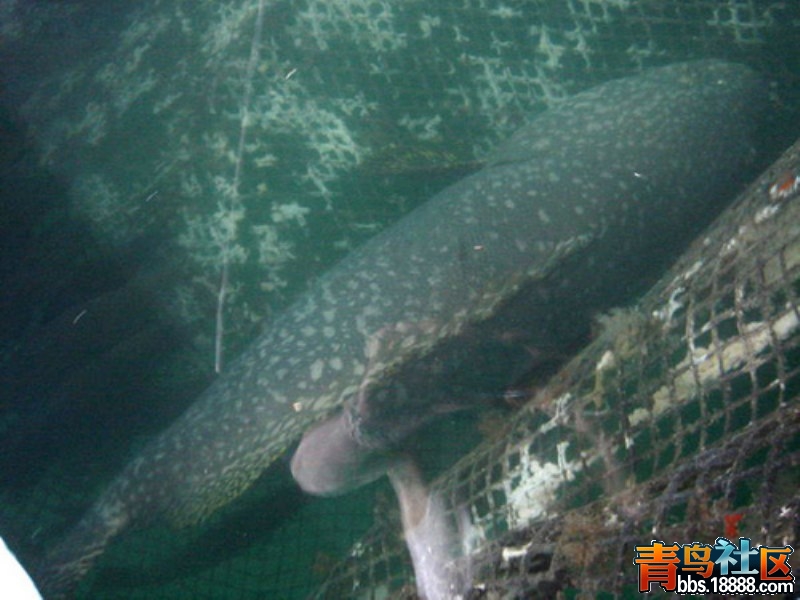 20065261464741_800x600.jpg