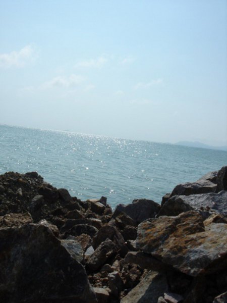 2006526135618794_450x600.jpg