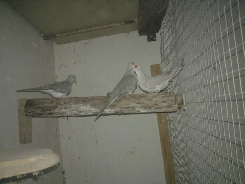 WP_000628.jpg