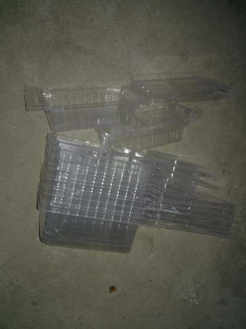 WP_000784.jpg