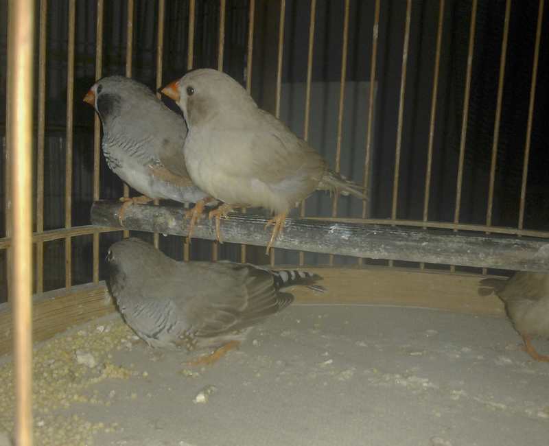 WP_000655.jpg