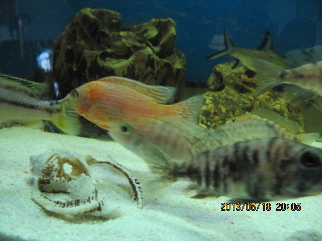 IMG_4623.jpg