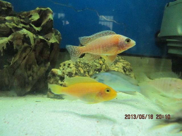 IMG_4635.jpg