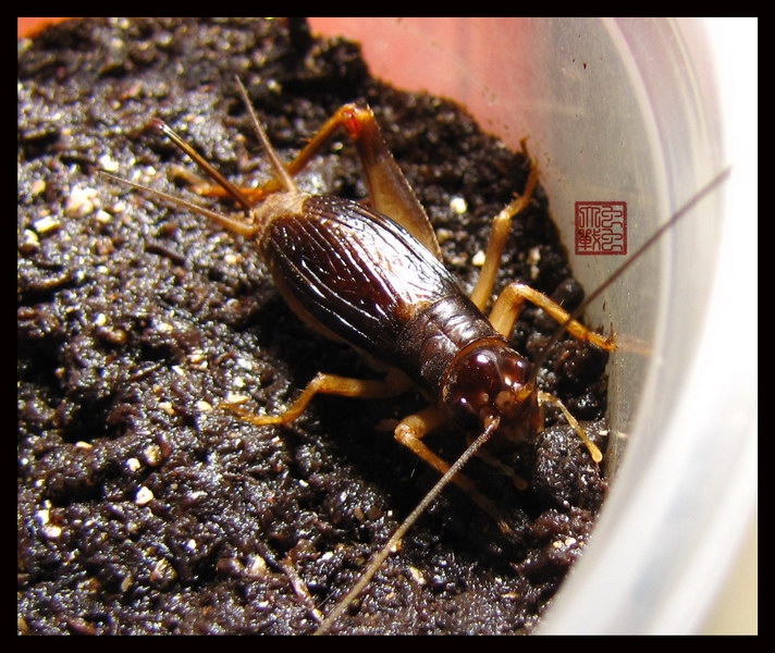 IMG_2840_缩小大小.JPG