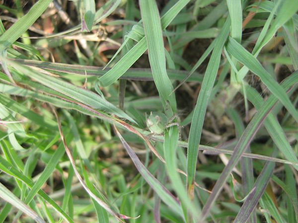 IMG_2486.jpg