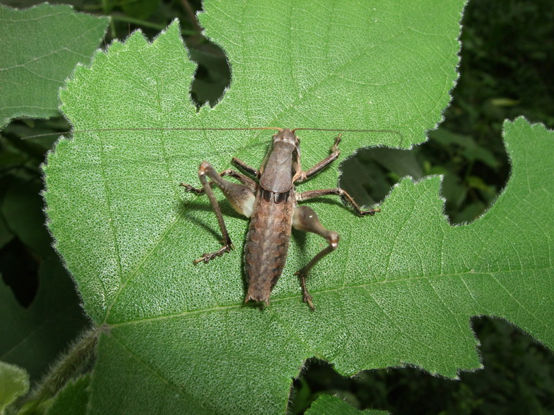 DSCF7633.jpg