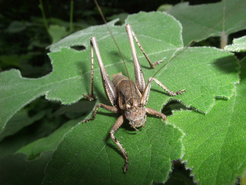 DSCF7635.jpg