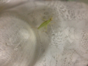 照片 1049.jpg