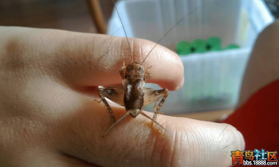 QQ图片20130613101357.jpg