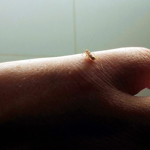 31_photo_副本.jpg