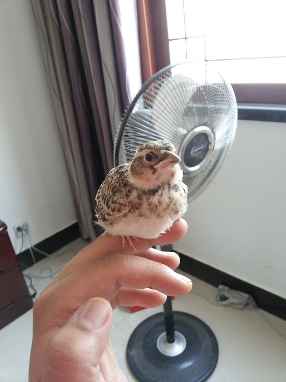 20130611_141255.jpg