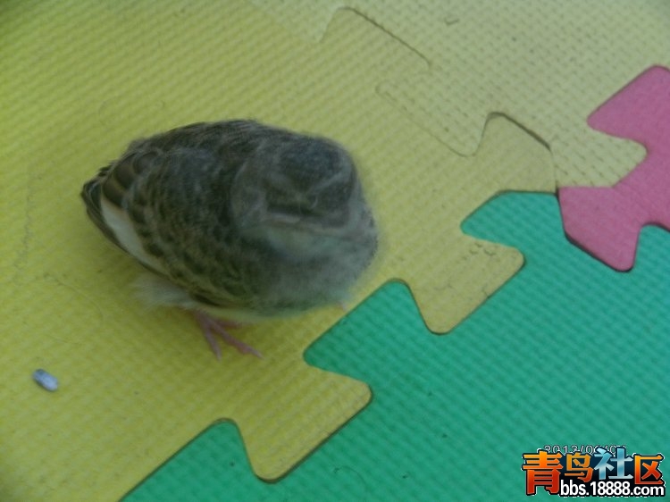IMAG0264.JPG