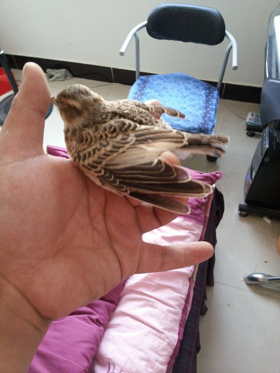 20130611_141430.jpg