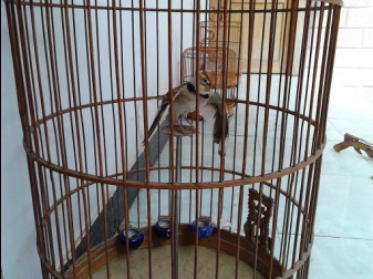 QQ图片20130627164457.jpg