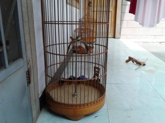 QQ图片20130627164412.jpg