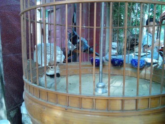 QQ图片20130627164515.jpg