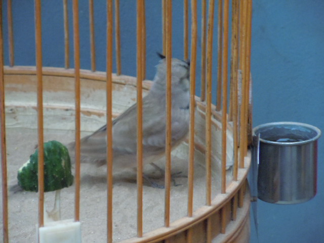 DSCN3622.JPG