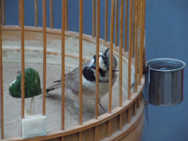DSCN3620.JPG