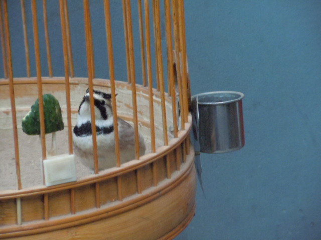 DSCN3637.JPG