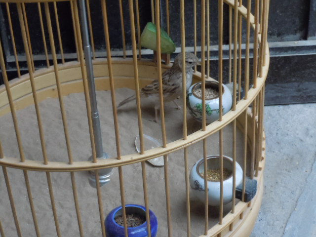 DSCN3600.JPG
