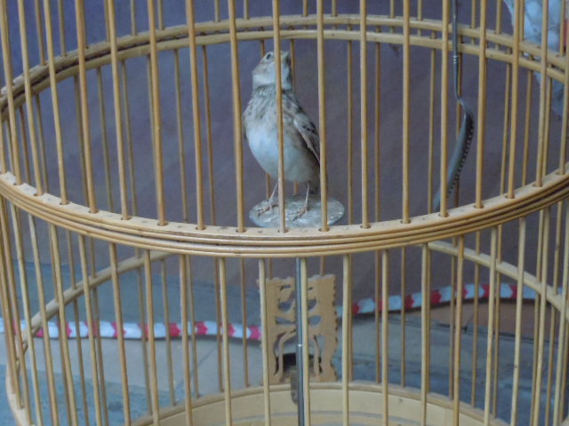 DSCN3618.JPG