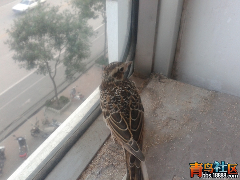 2013-06-26 18.37.47_副本.jpg