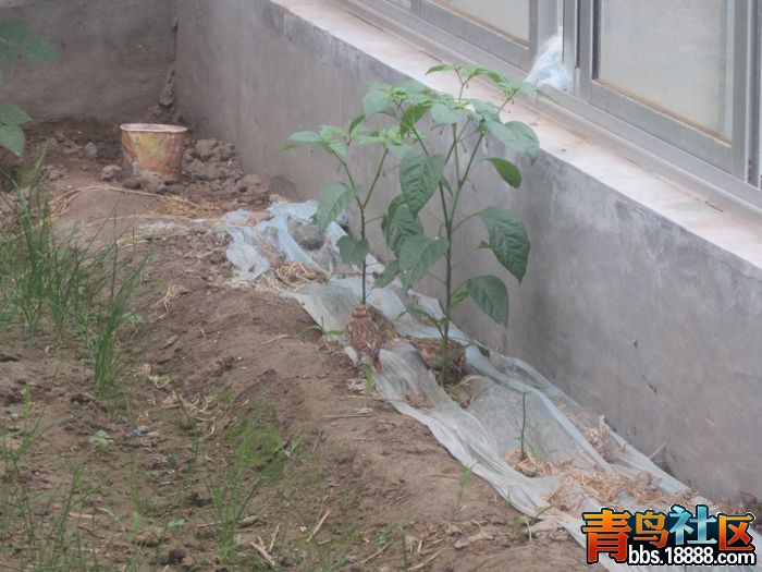 照片 142.jpg