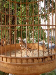 照片_20130615_075836.jpg