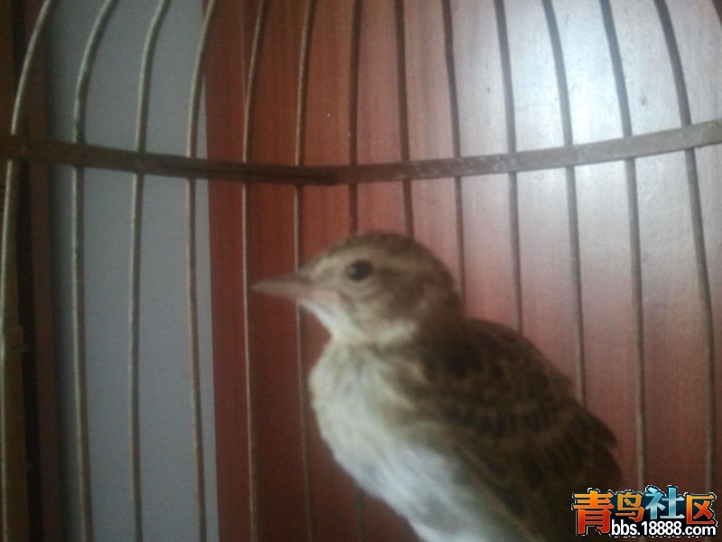 照片0849.jpg