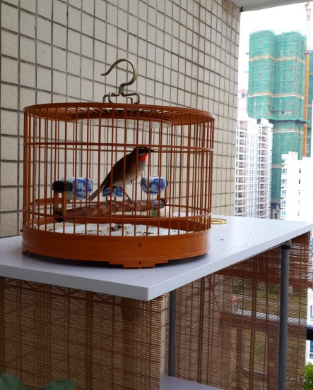20130623_180535_副本.jpg