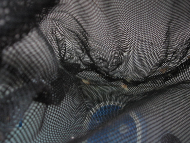 2013-06-25 004.jpg