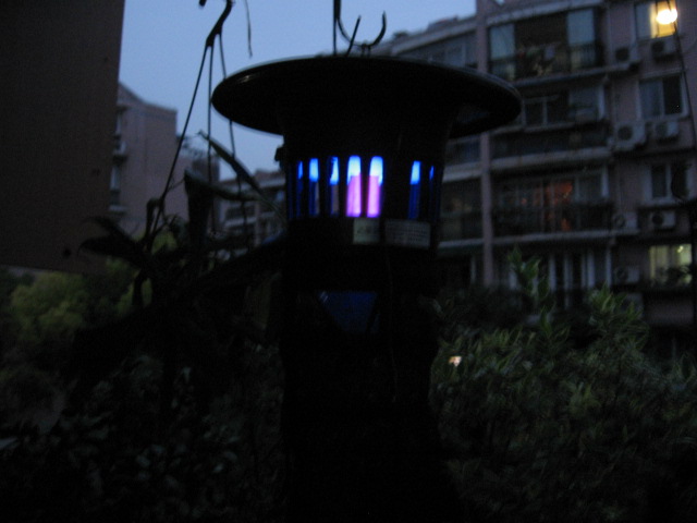 2013-06-25 003.jpg