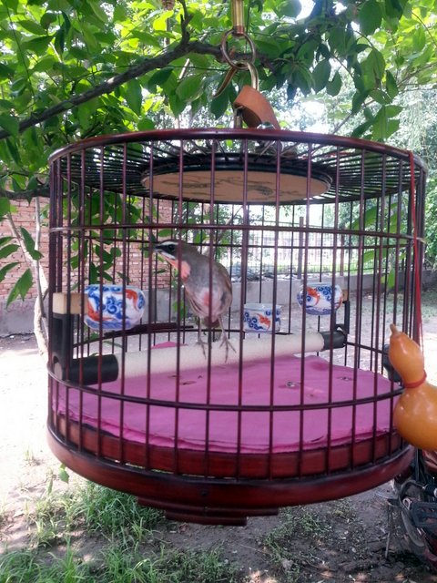 20130611_095320.jpg