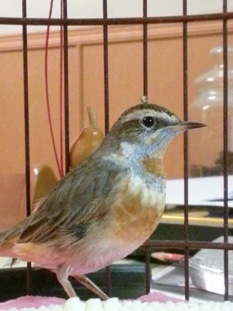 20130613_204300.jpg